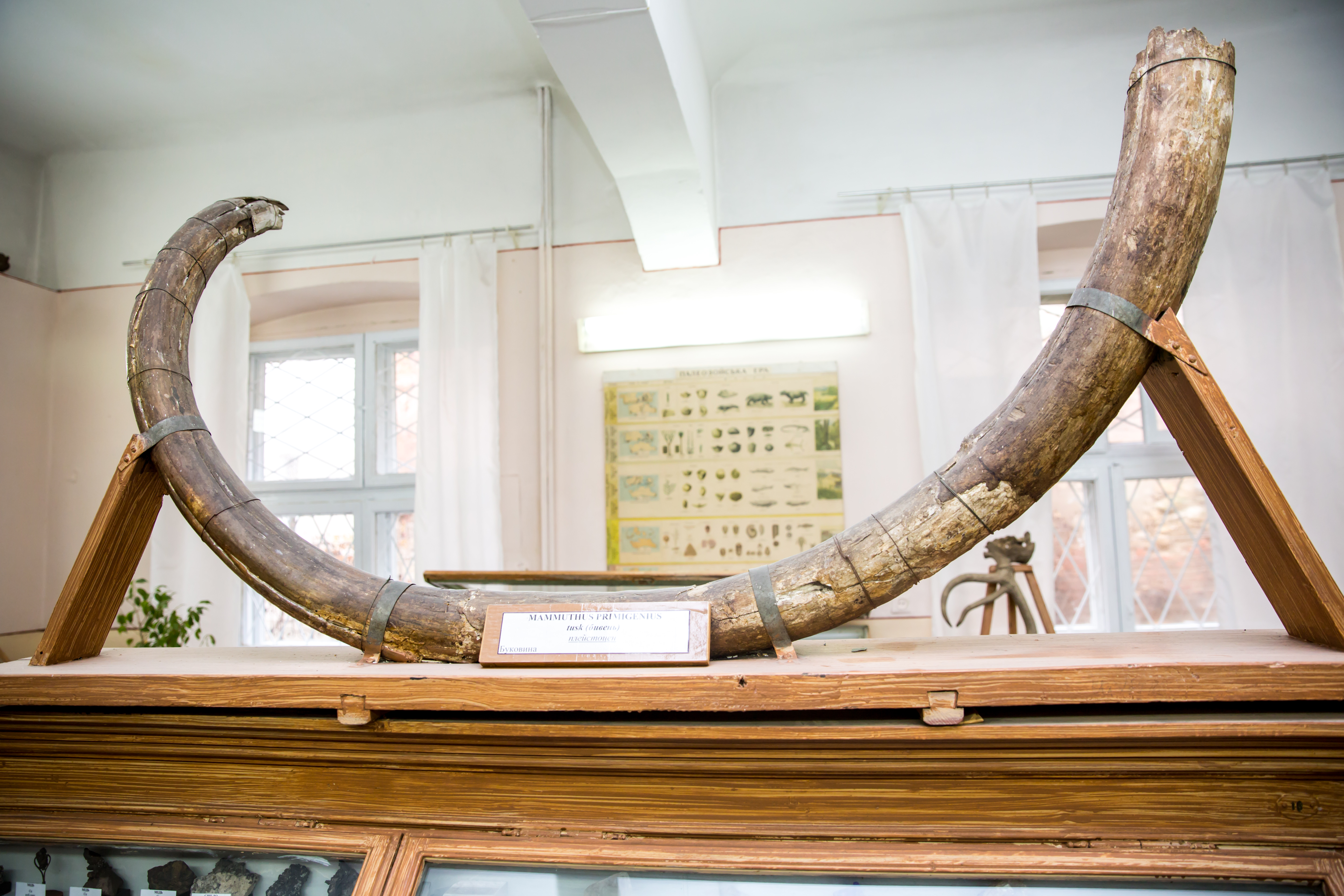 Геолого-географічний відділ